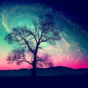 Meet your Posher, Cristina